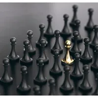 Professional Board Memberships