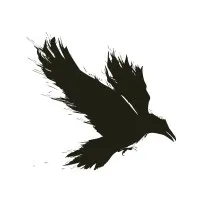 RavenTek Business Group