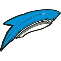 Seaborg Flag Football Team