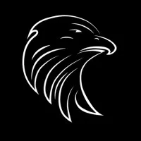 Black Hawk Eagle Consulting