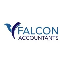 Falcon Accountants BV