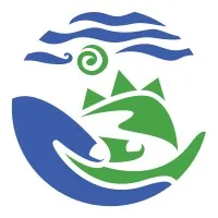 Kupu