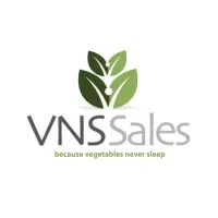VNS Sales Company