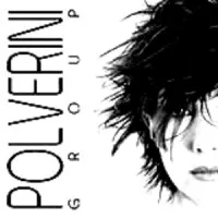 Polverini Group