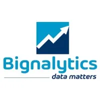 Bignalytics IT Solutions