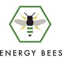Energy Bees