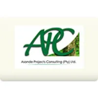 Asande Projects Consulting and Engineering (Pty) Ltd
