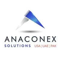 AnaConEx Solutions