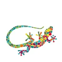 GeCHo Software e Informatica