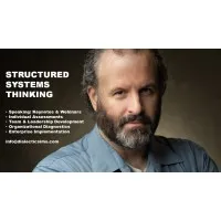 Dialectic Simulation Consulting LLC