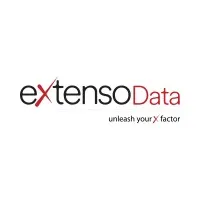 eXtensoData