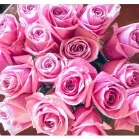 Albuquerque Marriott