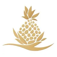 Koa Overseas Consultants