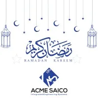 ACME SAICO - Integrated Engineering Systems -(IES)