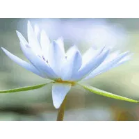 Corps et Âme en Éveil