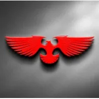 TEAM GYRFALCONS