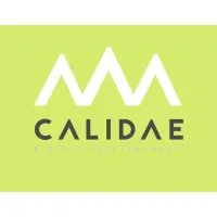 Sistemes i Xarxes informàtiques Calidae S.L.