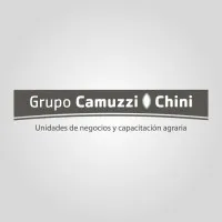 Grupo Camuzzi-Chini