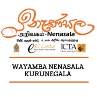 Wayamba Nenasala IT Academy