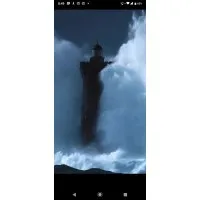 Independent Consultant/Contractor