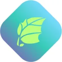 Silver Factory Technology