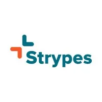 Strypes Technical Software