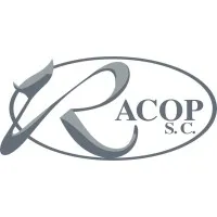 Rojas y Asociados Contadores Publicos