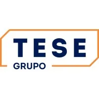 TESE Engenharia e Segurança Industrial