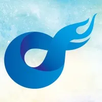 Only Success Learning Technologies