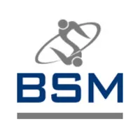 BSM Lean Consultants