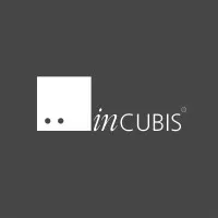 Incubis Consultants (India) PL