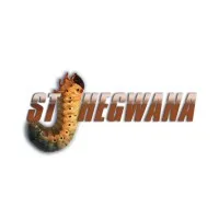 stjhegwana