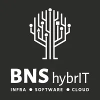 BNS hybrIT