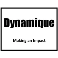 Dynamique Solutions LLC