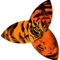 Tigerlily Productions