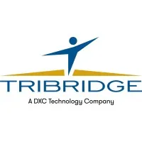 Tribridge