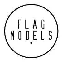 Flag Models