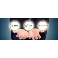 PT Duta Lestari Sentratama (KINO GROUP)