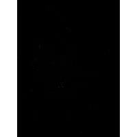 Lava Performance Marketing - (LavaPM)