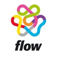 Flow Consulting
