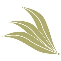 THE WILLOWS FOUNDATION INC