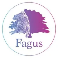 Fagus Content