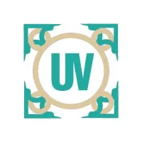 Understanding Vienna