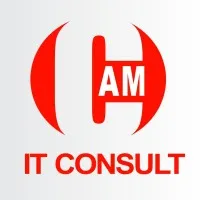 CAM IT Consult