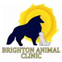 Brighton Animal Clinic