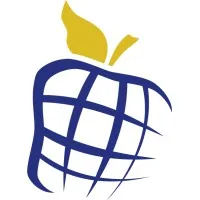 Newt Global Consulting, LLC
