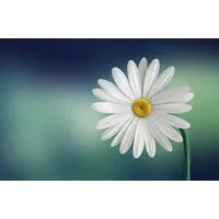 Suraksha Diagnostic Pvt Ltd