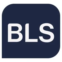 BLS Consulting (Brasil)