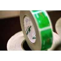 Pakistan Paper Products Limited