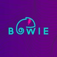 Bowie Agency